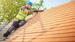 Roof Insulation Installation in Grass Lake, MI